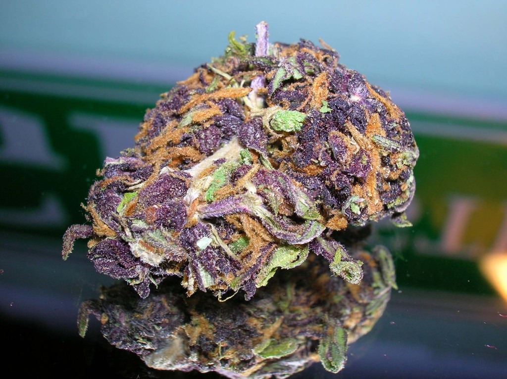 purple nug.