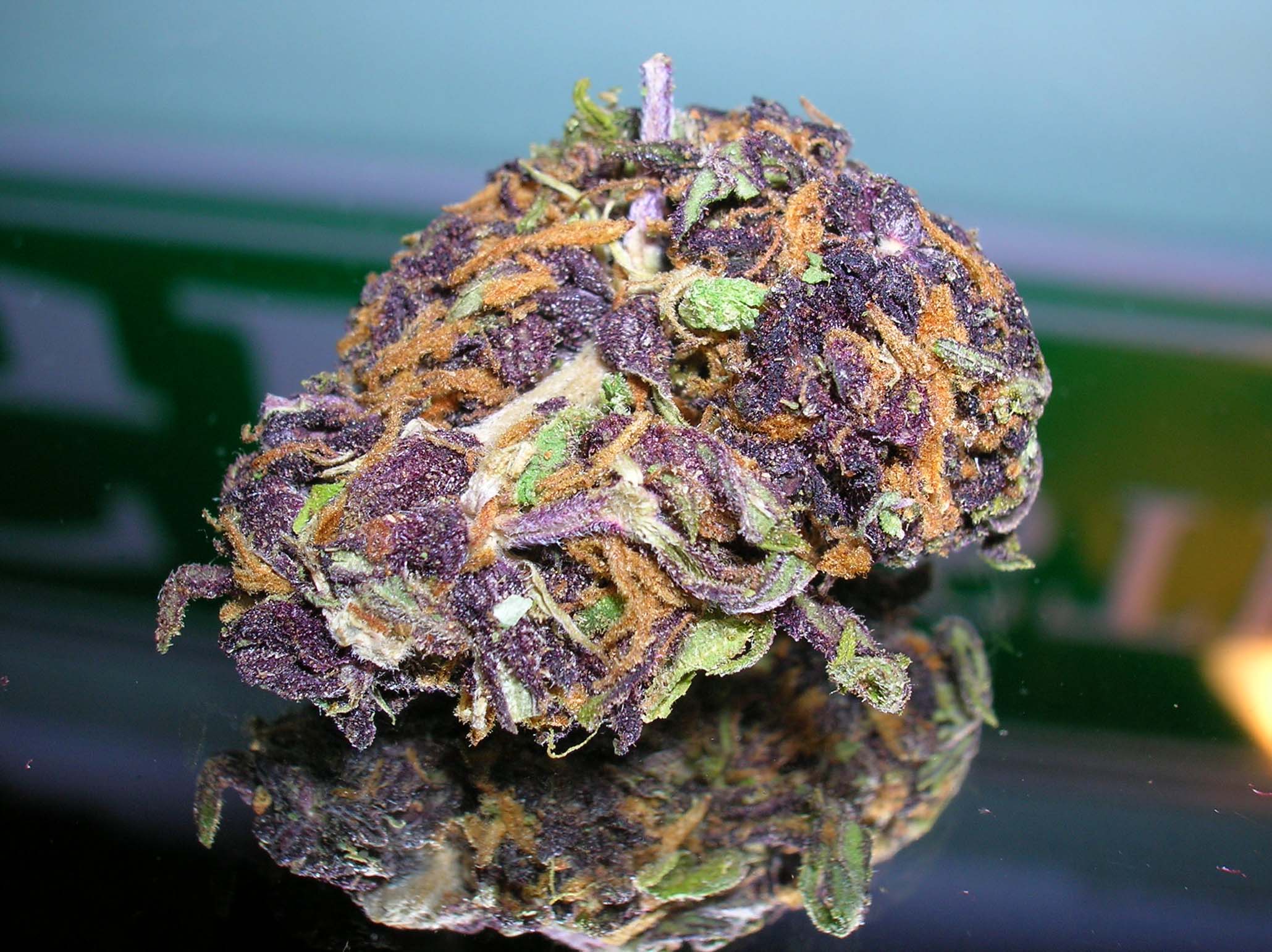 purple weed nugs
