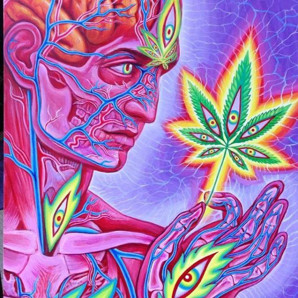 Cannabis a Gateway to Love as Seen by Artist Alex Grey Nugg