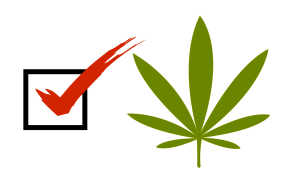 2016 candidates views on marijuana