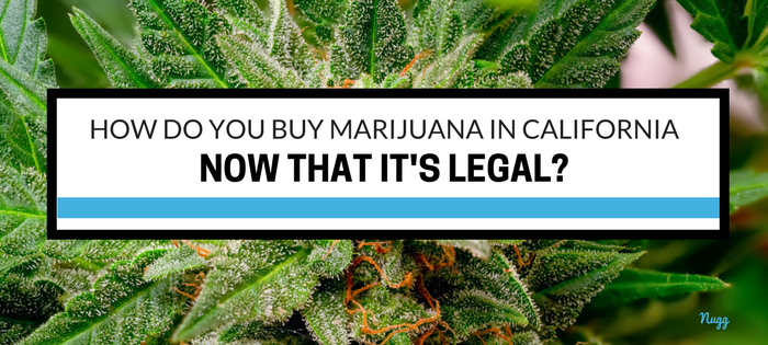 How Can You Buy Cannabis Legally?