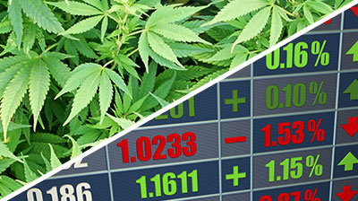 cannabis investment
