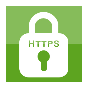 https browser history
