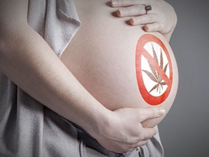 pregnancy risks cannabis