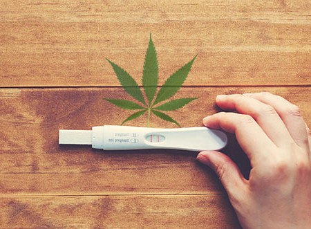 pregnancy test