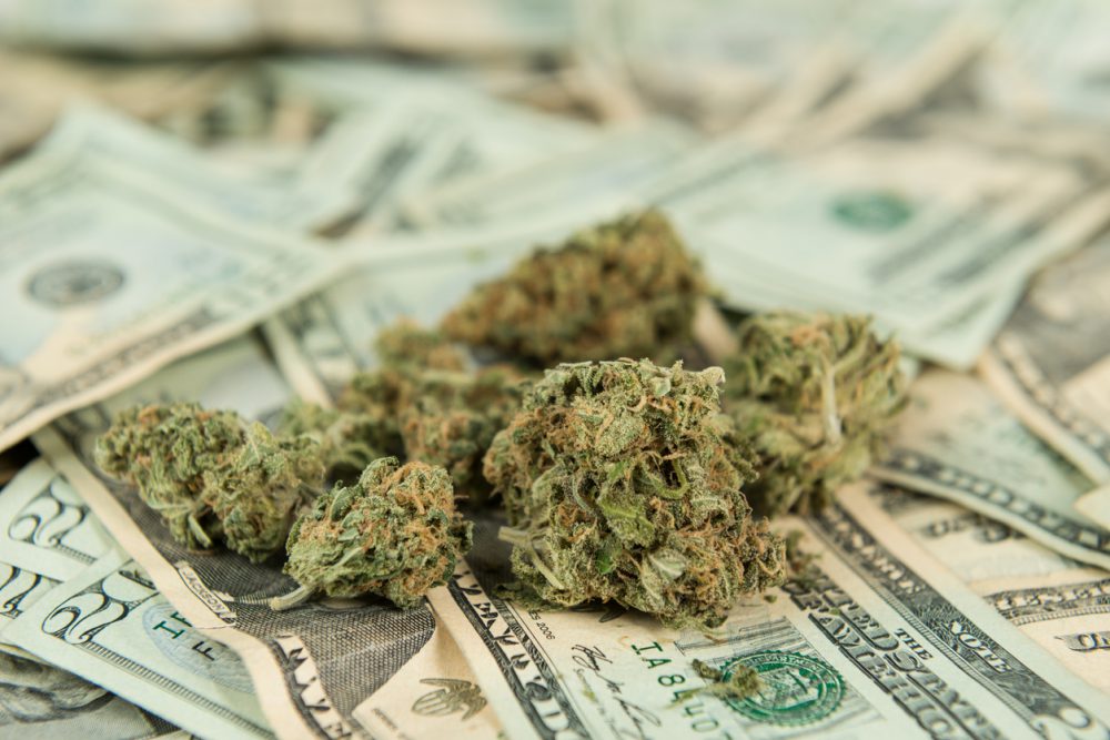 price of cannabis cultivation soars